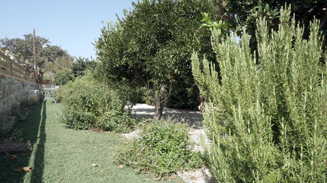 Studio Eleni - Oasis Holiday Houses كوكينوس بيرغوس المظهر الخارجي الصورة