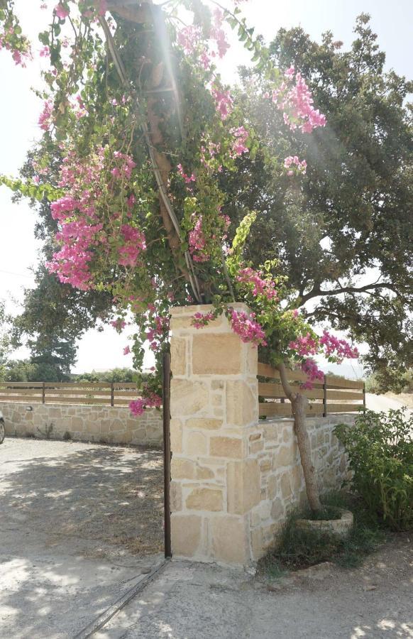 Studio Eleni - Oasis Holiday Houses كوكينوس بيرغوس المظهر الخارجي الصورة