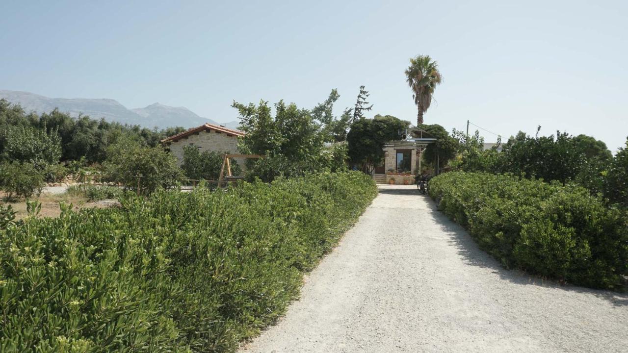 Studio Eleni - Oasis Holiday Houses كوكينوس بيرغوس المظهر الخارجي الصورة